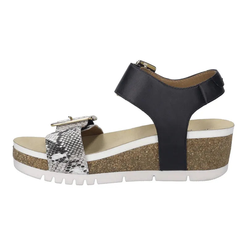 JOSEF SEIBEL Quinn 02
