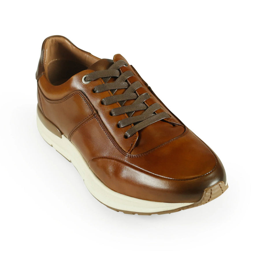 Azor Calabria Trainer