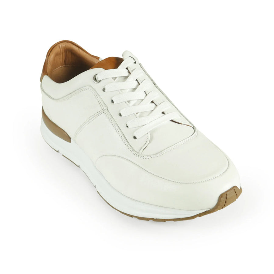 Azor Calabria Trainer
