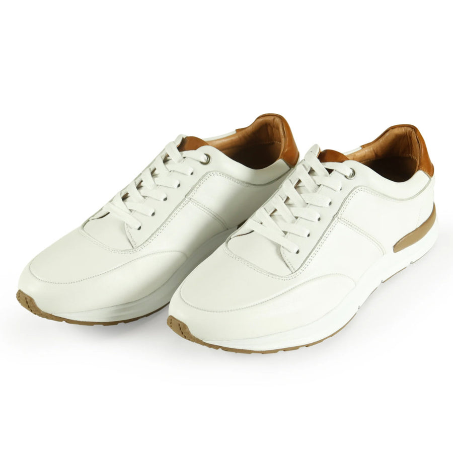 Azor Calabria Trainer