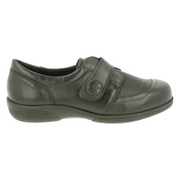 DB Shoes Owl 78998 Shoe 2V