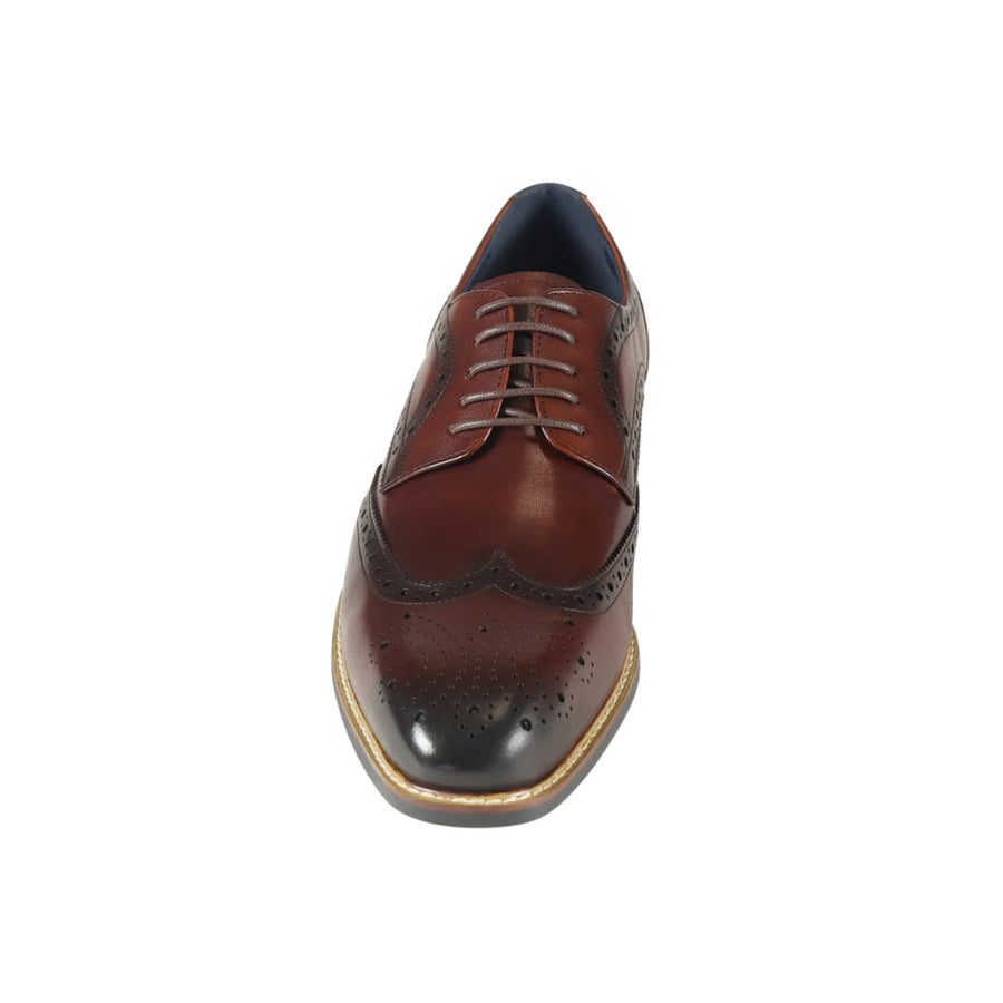 Azor Venezia Brogue
